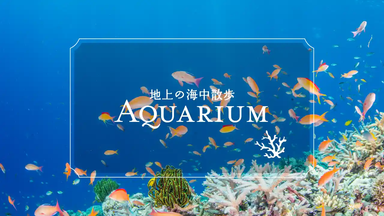 水族館の珊瑚の海と魚